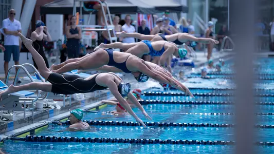 Ella Chang diving in the pool