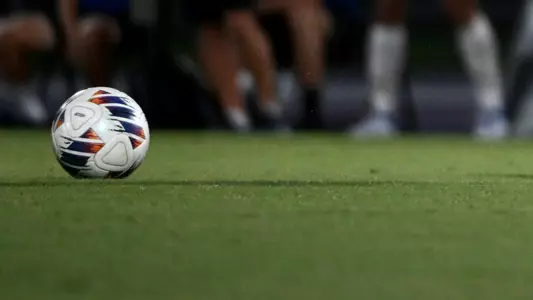 Picture of soccer ball on grass