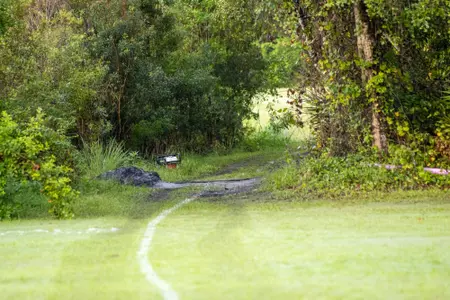 Trail path at the Hayt for cross country