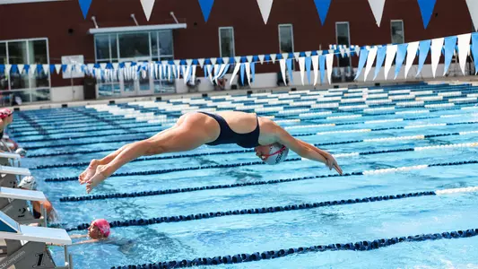 Women's Swimming diving in off the block against West Florida