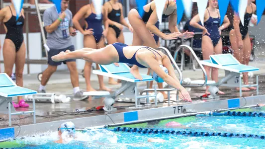 UNF Swimming diving into the pool at the UNF Competition Pool Complex