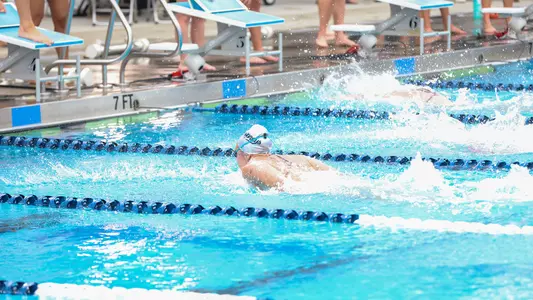 UNF Swimming at the UNF Competition Pool Complex