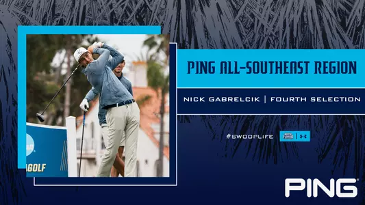 Nick Gabrelcik graphic PING