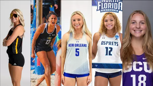 Beach Volleyball transfer release graphic