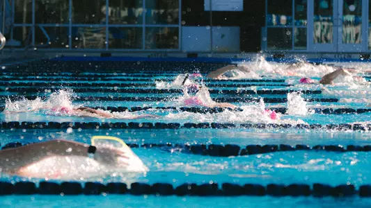 UNF Swimming practicing at the UNF Competition Pool Complex
