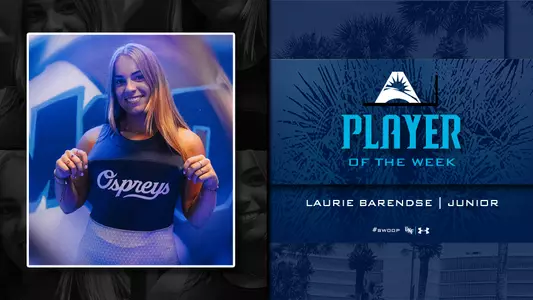 Laurie Barendse graphic