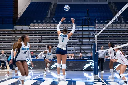 Sofia Dawson setting the ball