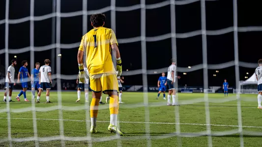 Goalkeeper Luciano Natoli defends the goal through the net