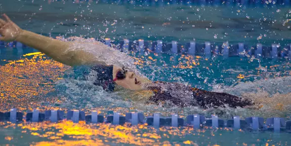 Women's Swimming & Diving Drops Maine, 185.5-109.5 Image