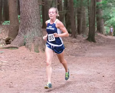 Purrier College Woods