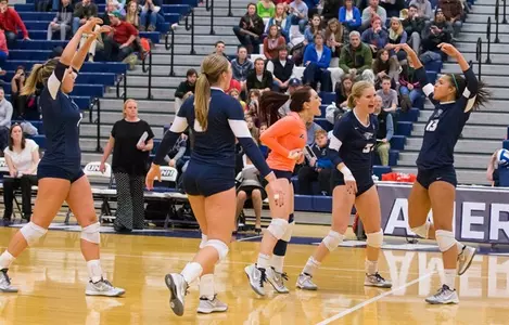 Volleyball_Team_2014