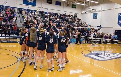 vb_huddle_ualbany_ae_finals