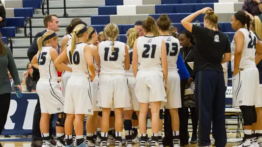 WBB Bench