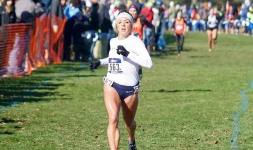 purrier regional 2017