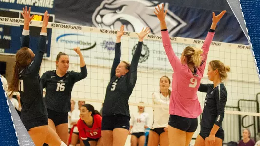 VB_preview_atUMBC_atBING