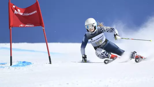 Sohvi Virkkula