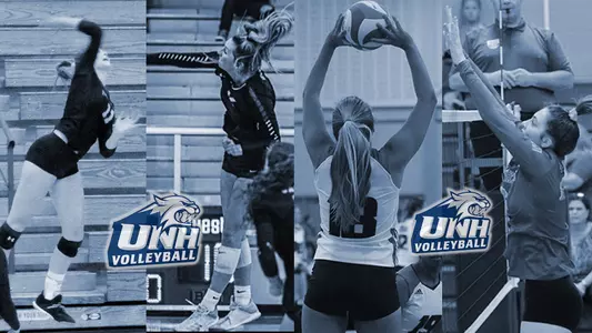 VB NLI Nov 2019