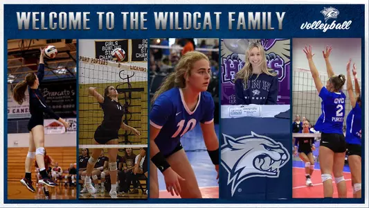 Volleyball NLI graphic Dec 2020