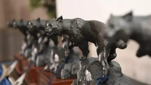 Hall of Fame Trophies