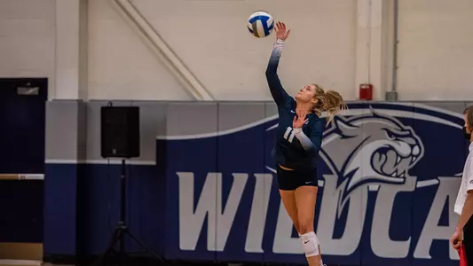 Kaleigh Whalen