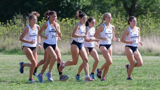 WXC Group