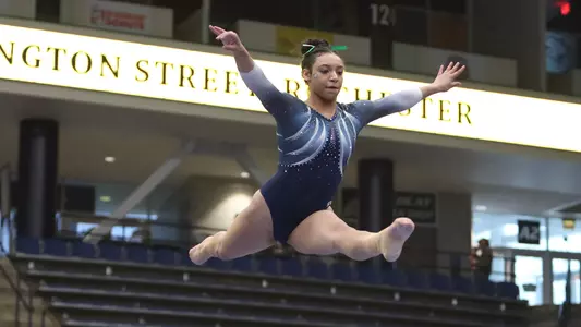 Serena Mullin