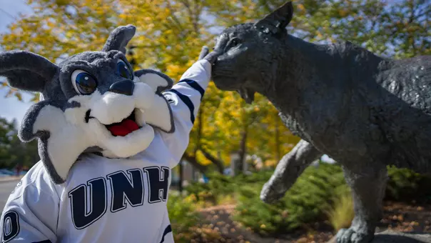Wild E Cat and Wildcat Statue
