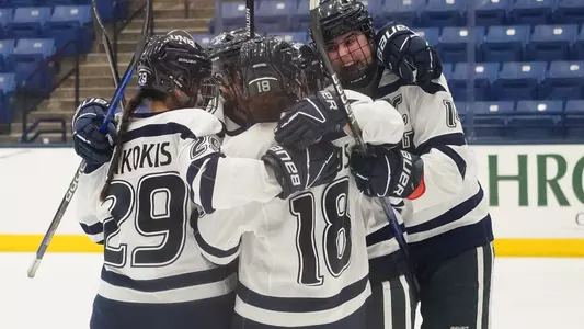 team_goal celebration_104327