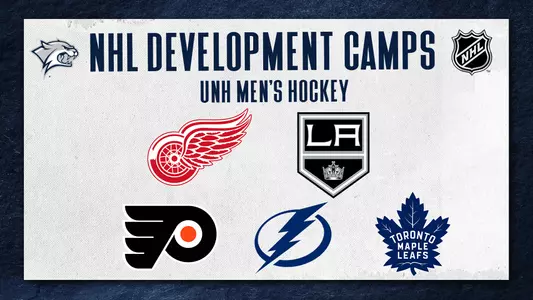 Development Camps