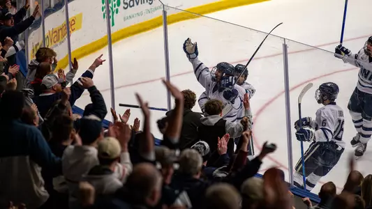 Hockey Crowd Celebration