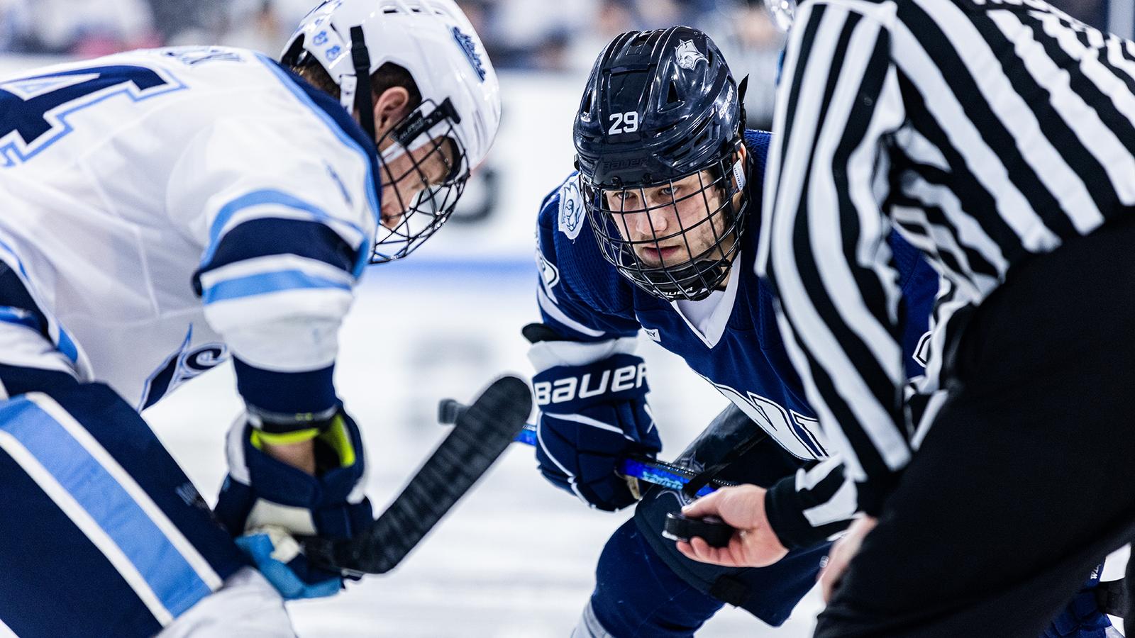 unhwildcats.com