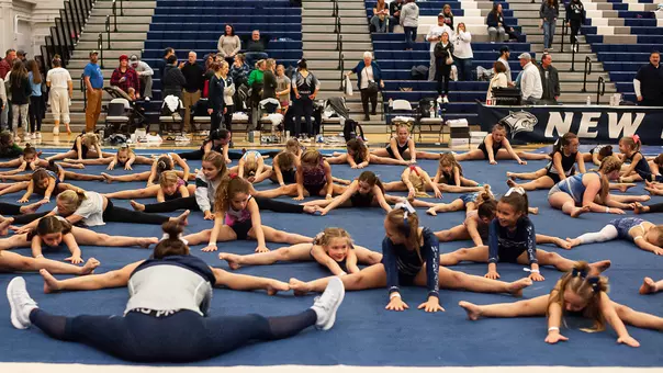 Wildcat Youth Gymnastics