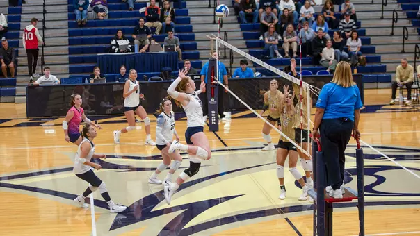 Volleyball rallies for a point.