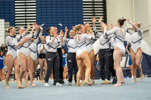 Team celebration