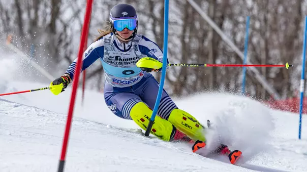 Sommerova 20260131_EISA3_DART_SL_1447.png