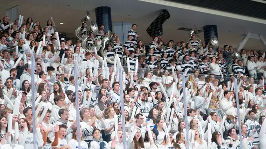 Crowd