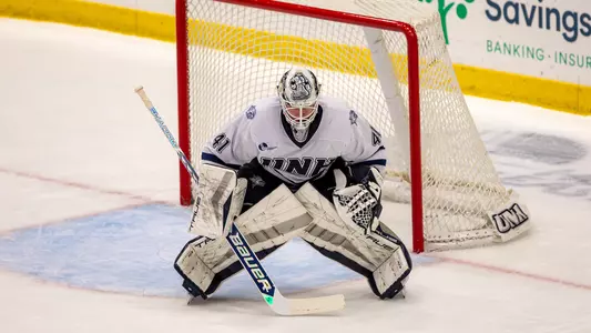 Jared Whale