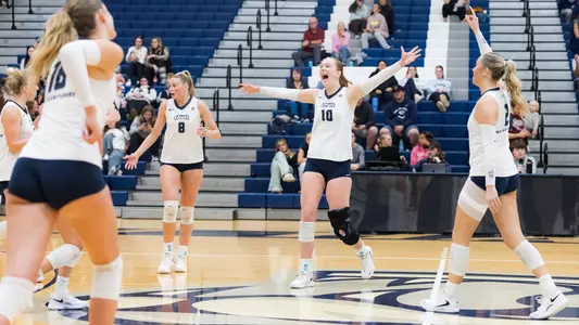 Volleyball celebrates a point win