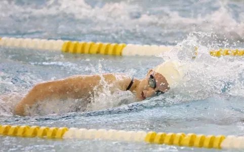 Panthers Defeated by Illinois State