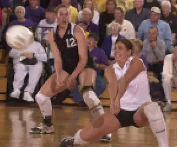 Alabama Takes 3-0 Win