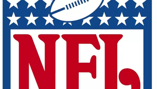 Panthers in the NFL