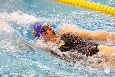 Panthers Sit in Third Heading Into Final Day of MVC Championships Image