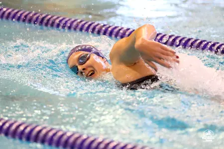 UNI Swimming and Diving Wins UNO Invite Image