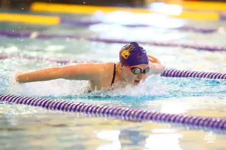 UNI Swimming and Diving Ready for UNO Invite Image