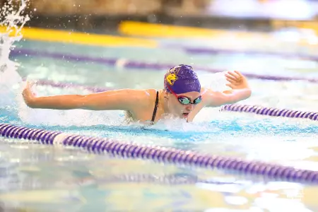 Swimming and Diving defeats Western Illinois, Falls to Iowa Image