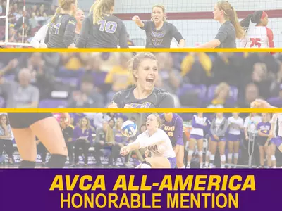 2017 UNI AVCA All-America