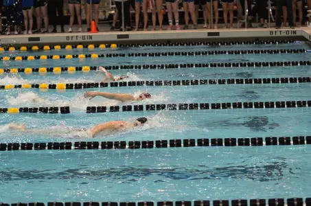 UNI Swimming and Diving Starts Strong Image