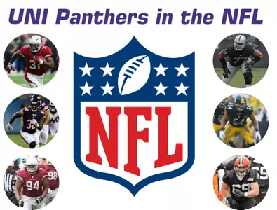 Panthers in the NFL - 2017