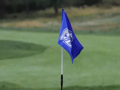 Drake Flag