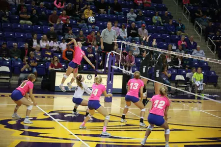Baylee Petersen